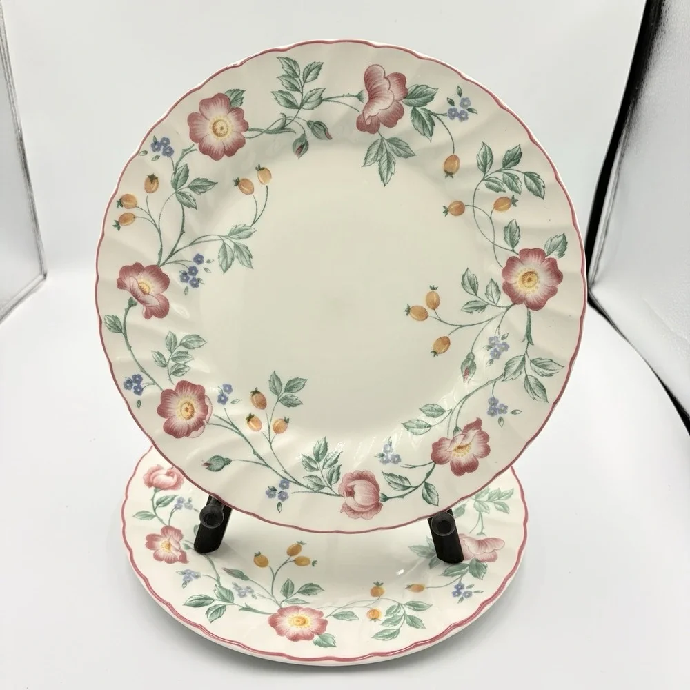 Churchill Staffordshire‎ Set of 2 Briar Rose Ironstone Floral 10